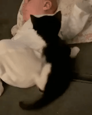 0a410da5912e2276092c2e2ba576bdb7_1663132488_0657.gif