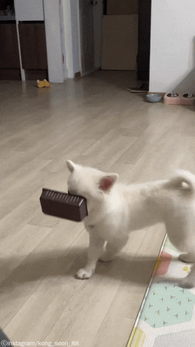 2360d09fe88647916258aa1b3ad40261_1663039393_4381.gif
