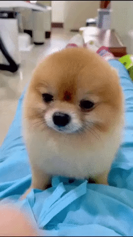 2360d09fe88647916258aa1b3ad40261_1663059633_3708.gif