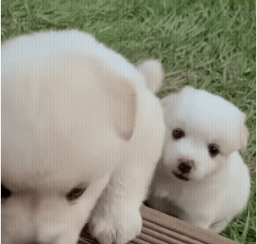 32e2d11179892b3dd799f3020fa8c887_1662450555_3426.gif
