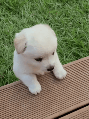 32e2d11179892b3dd799f3020fa8c887_1662450559_2418.gif