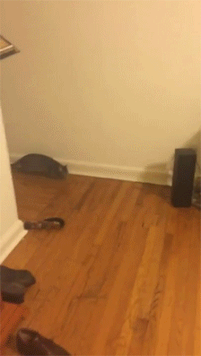 45229a96b243355574f90595217372b2_1663655229_2488.gif