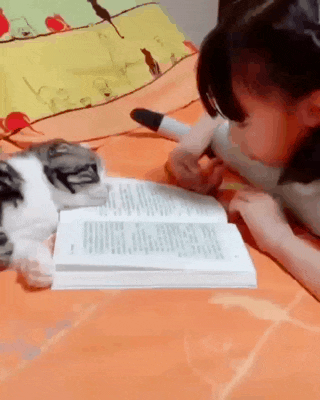 45229a96b243355574f90595217372b2_1663655355_8943.gif