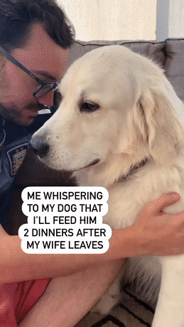 61d86a69f05bf2db8d40f06d4c772935_1662690747_4331.gif