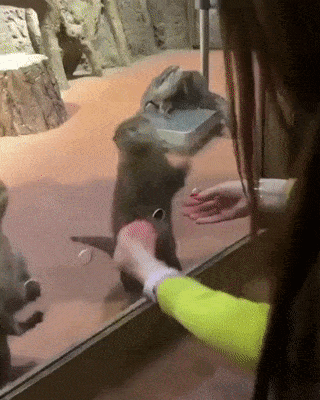 61d86a69f05bf2db8d40f06d4c772935_1662691236_8134.gif