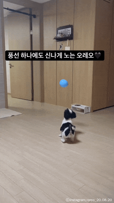 9325b679c56082e174288d093da187ac_1662604060_7301.gif