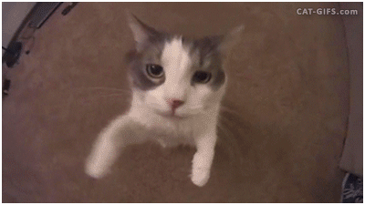 9325b679c56082e174288d093da187ac_1662621539_1398.gif