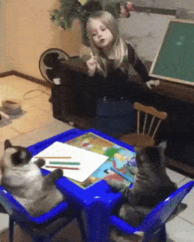 a27befa5c079350129b8b621fdd13115_1663231149_2481.gif