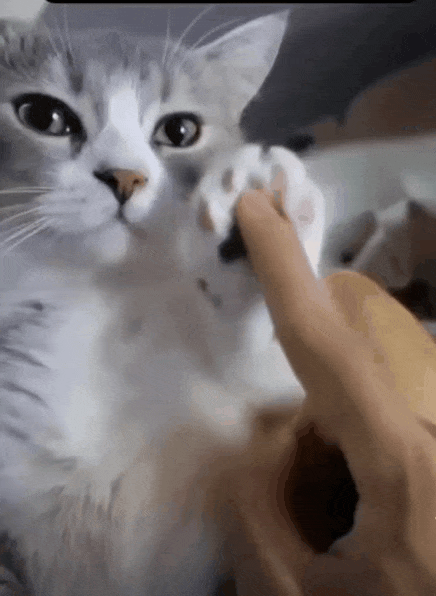 e72d56668756f6bdd06c7f9433f624d9_1663378231_5989.gif
