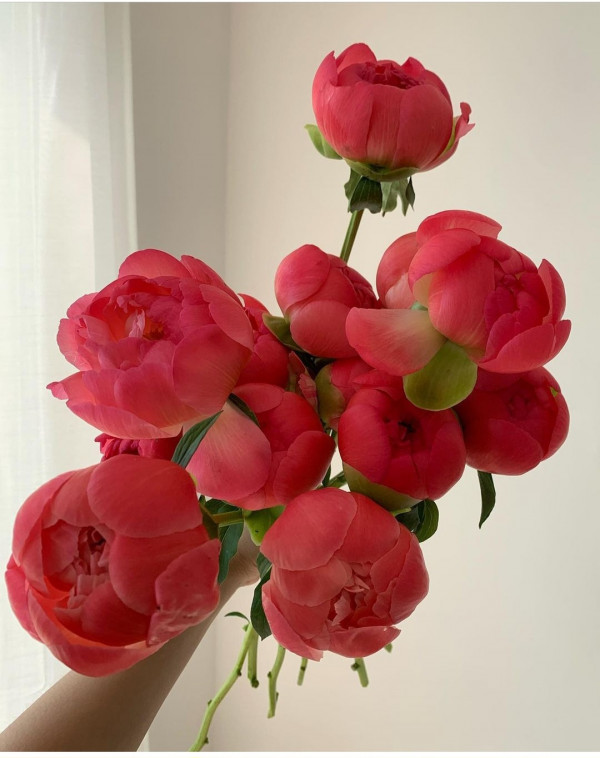 6fc24fa0e0abdd1bd857f1d42ebfda1c_1681894911_8174.jpg