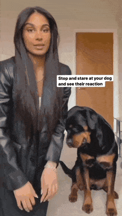 54b09ca759808cddeeecde9ec868edf3_1684509492_3802.gif