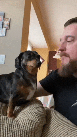 54b09ca759808cddeeecde9ec868edf3_1684509744_2139.gif