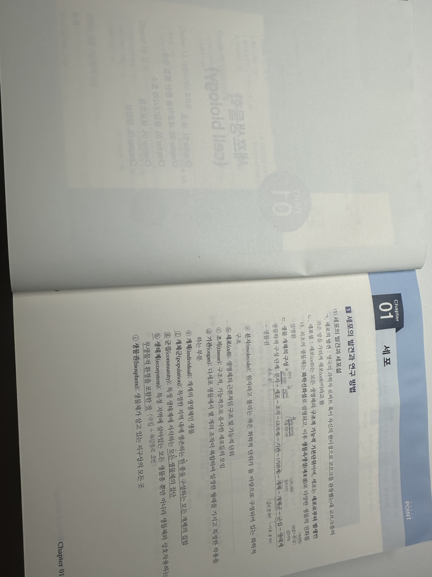 52a04170e32403963d2b2a96b261bfbe_1728086100_2405.jpeg