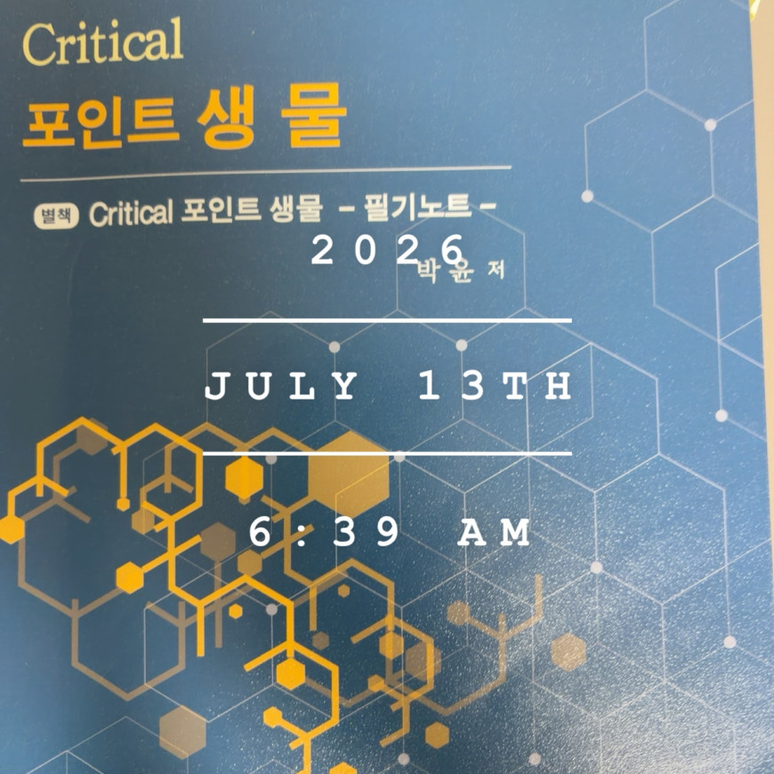 be3c5a46638a2ad4a38f1ff122779b12_1784109524_8857.jpg